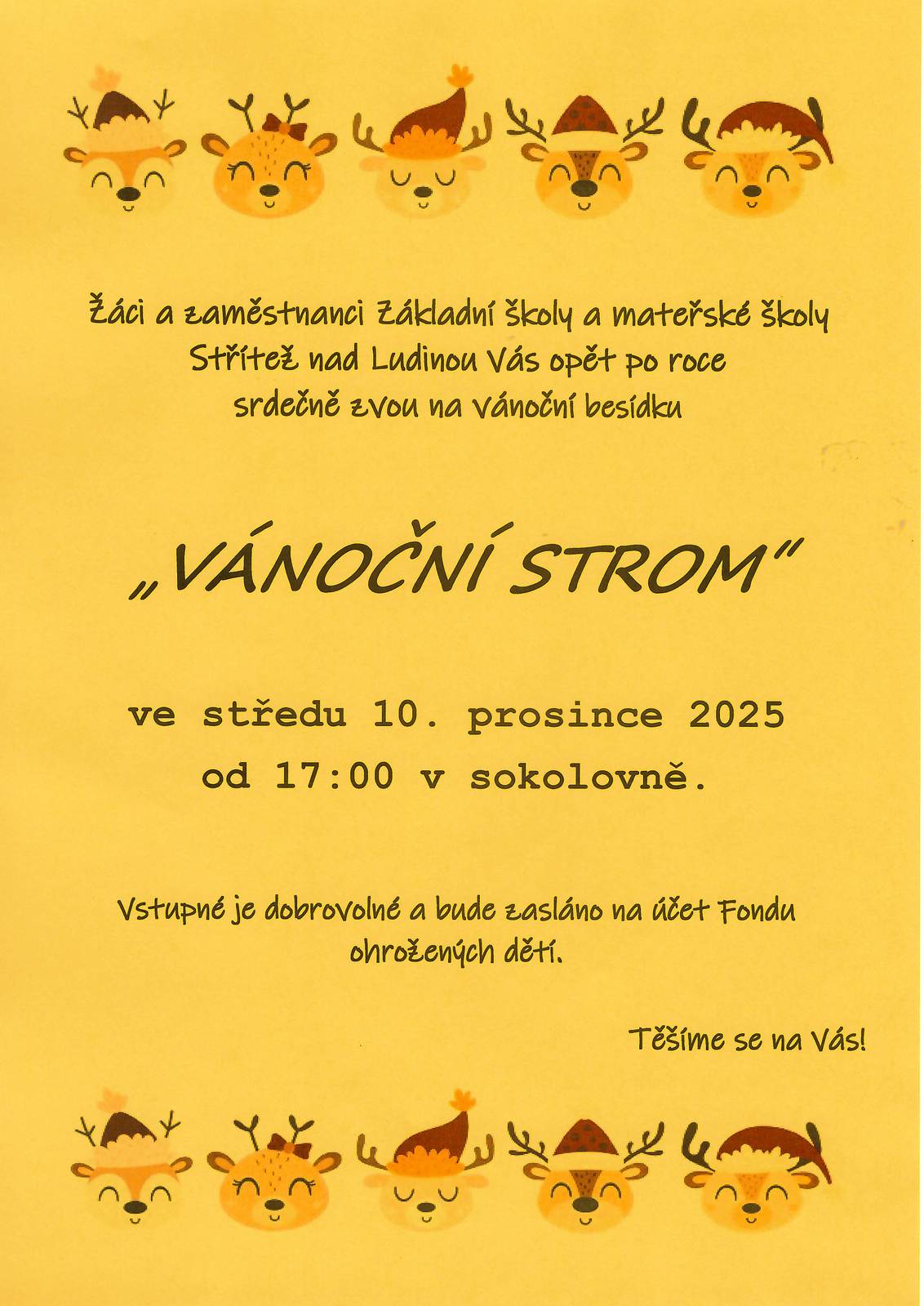 Vanocni strom.jpg